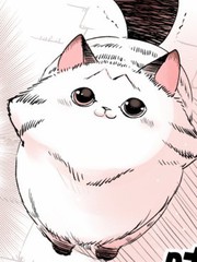 转生猫猫漫画