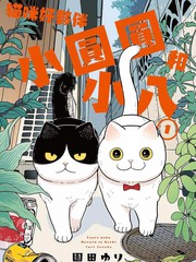 猫咪好伙伴小圆圆和小八 漫画漫画